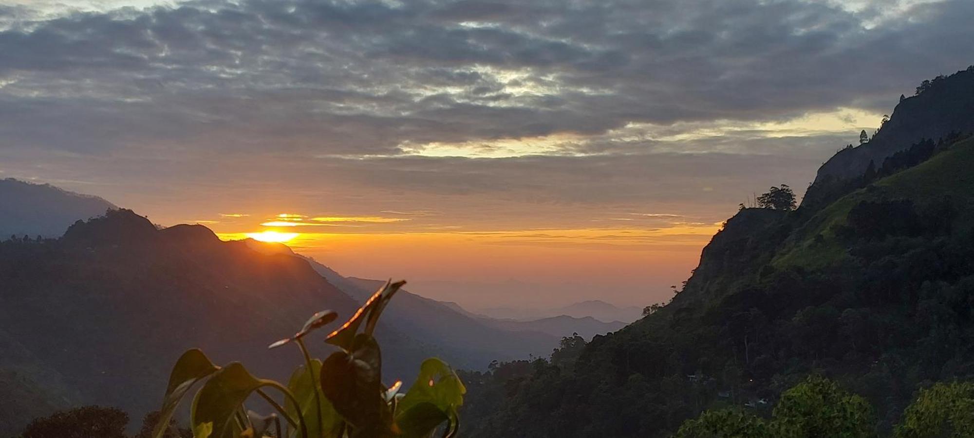 Meditation Monastery Stay เอลลา ภายนอก รูปภาพ